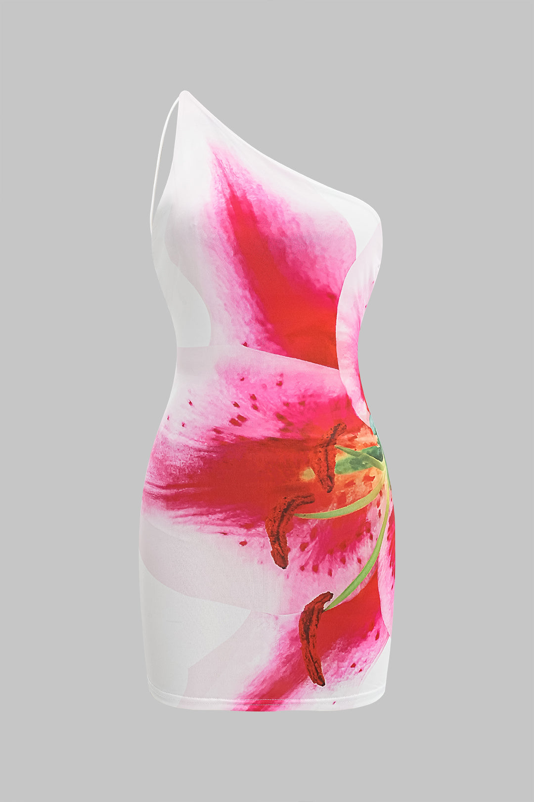 Floral Print Backless Tie Up Sleeveless Mini Dress – Micas