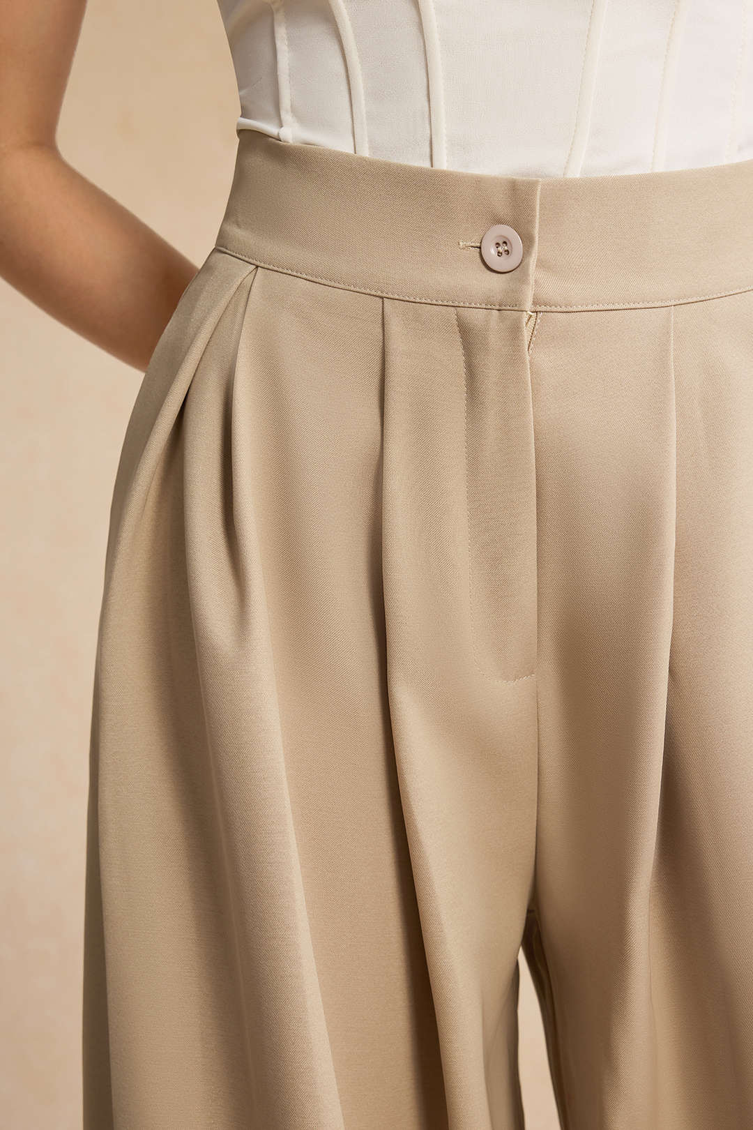 Wide Leg Pleated Trousers