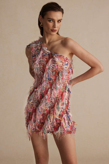 Mesh Fringe One Shoulder Mini Dress