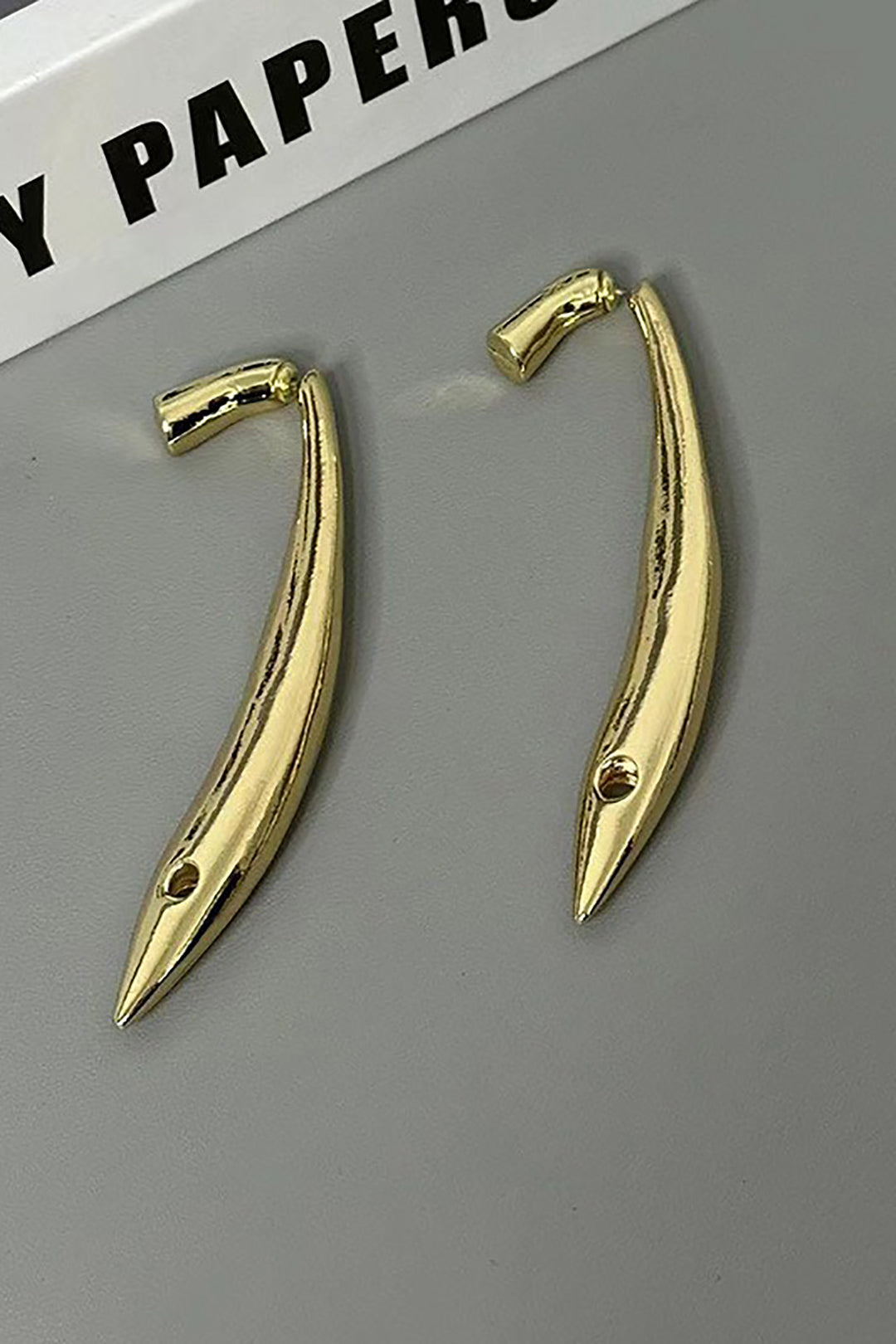 Sardine Decor Earrings