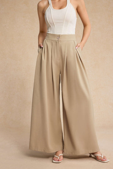 Wide Leg Pleated Trousers