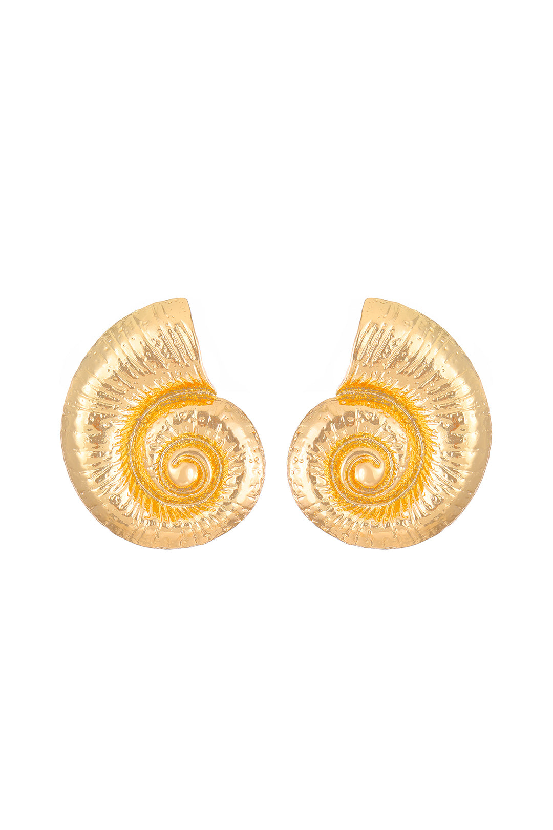 Conch Shell Stud Earrings