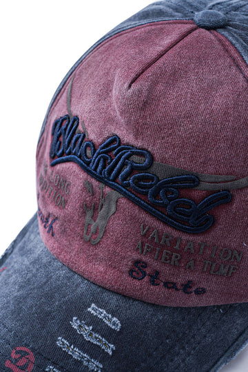 Letter Embroidery Distressed Baseball Hat