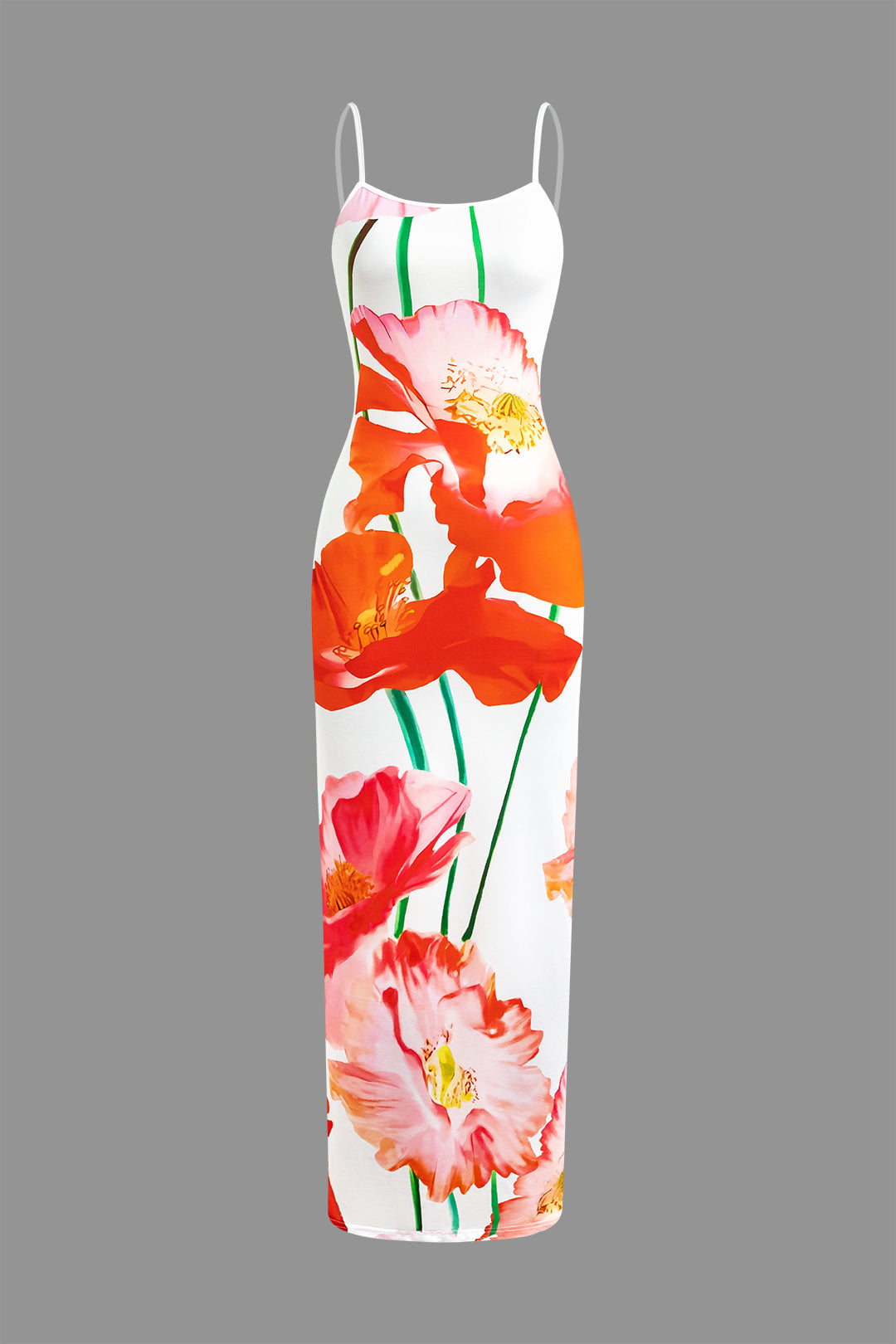 Floral Print Slip Maxi Dress