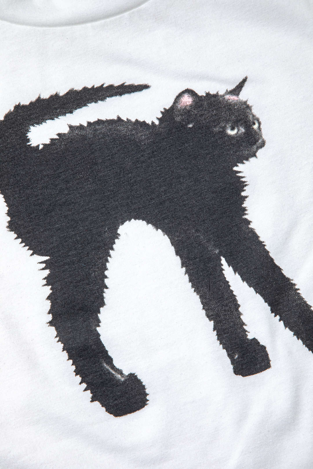 Cat Print Short Sleeve Crop T-shirt