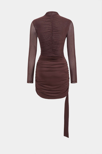 Mesh Ruched Long Sleeve Mini Dress