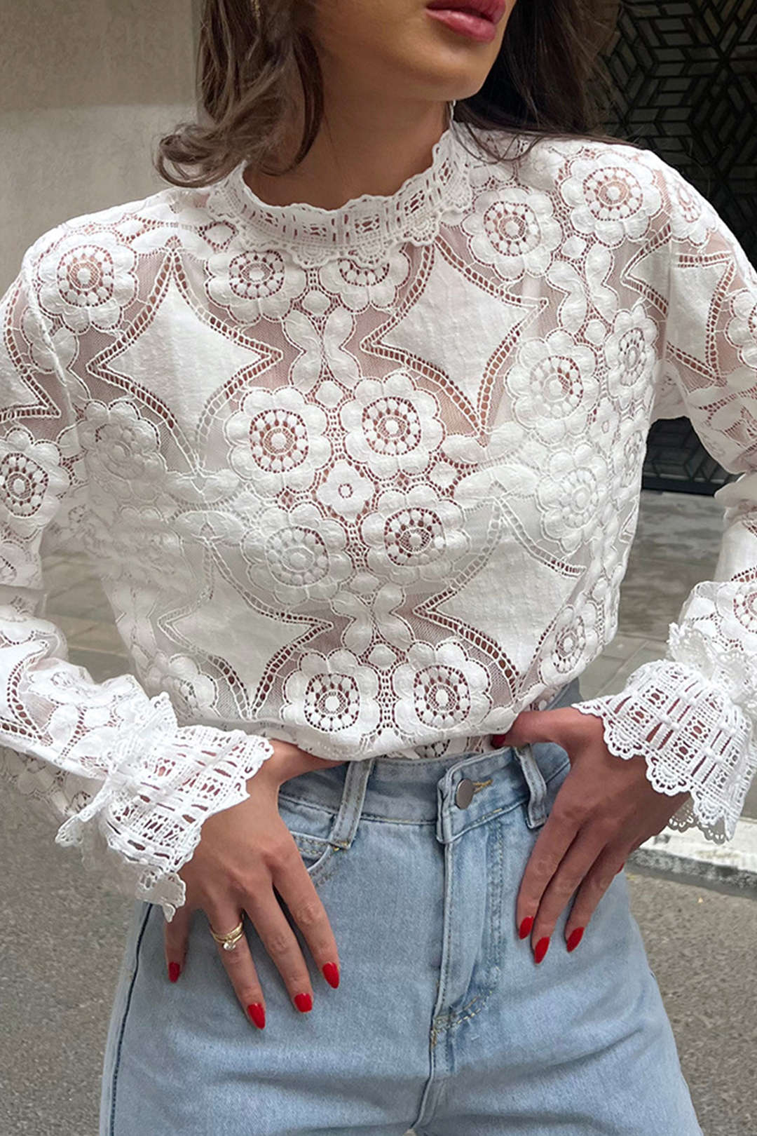 Floral Lace Embroidery Mock Neck Lantern Sleeve Blouse