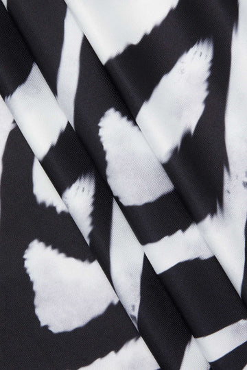 Zebra-print V-neck Crop Top And Maxi Skirt Set