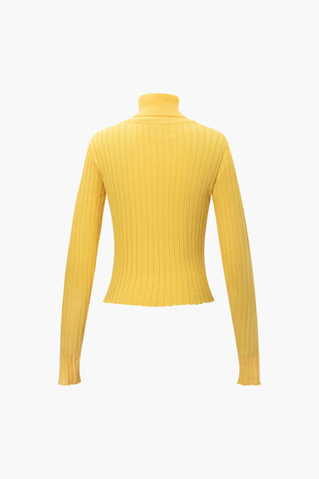 Solid Turtleneck Rib Knit Long Sleeve Top