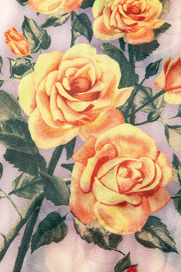 Floral Print Mesh Long Sleeve Maxi Dress