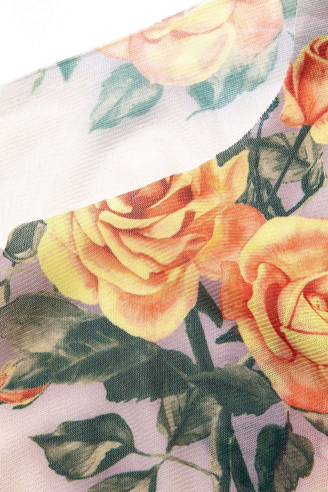 Floral Print Mesh Long Sleeve Maxi Dress